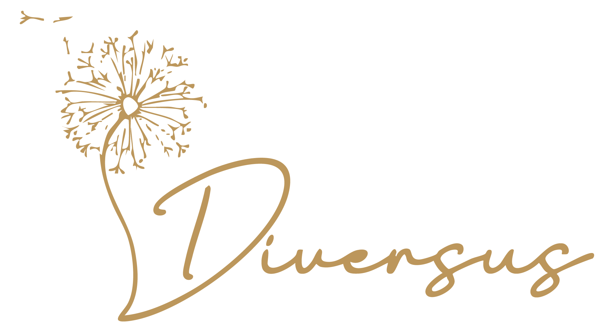 Diversus Logo